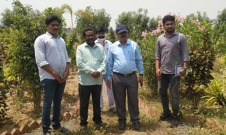 మొక్కలకు క్రమం తప్పకుండా నీరందించాలి