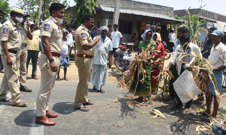 విత్తనాలు ఇచ్చిన వారిపై చర్య తీసుకోవాలి