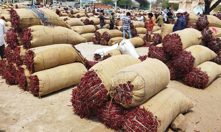 పసిడి ధరను మించి..