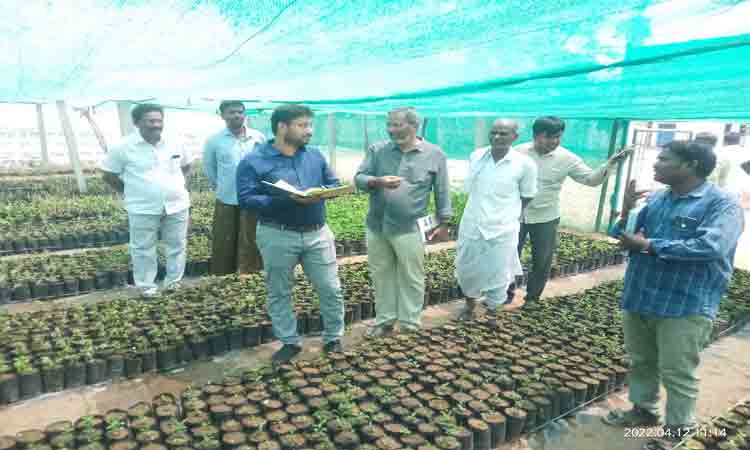 కూలీలకు ఇబ్బందులు లేకుండా చూడాలి