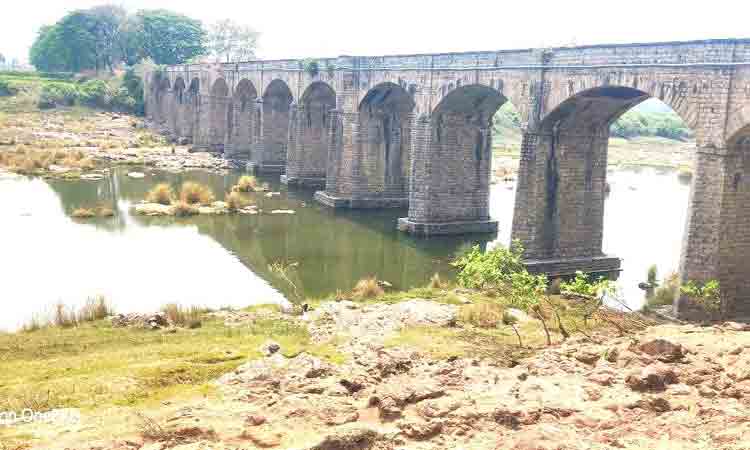 వృథా నీటితో సాగు భళా..