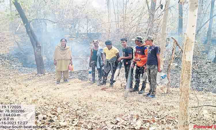 అడవికి రక్ష