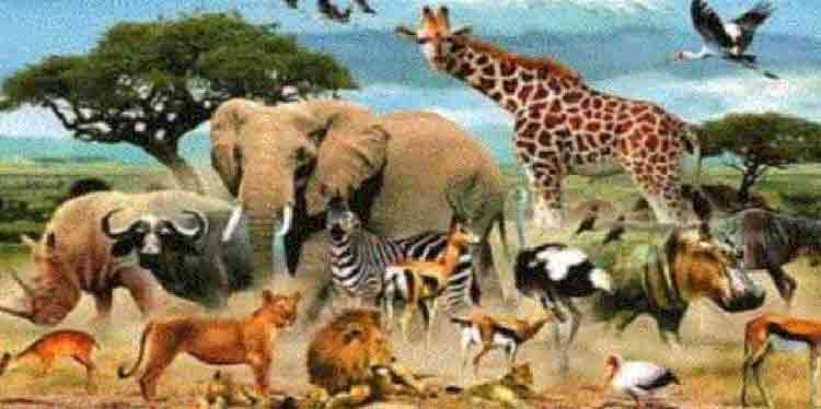 వాతావరణ మార్పులతో మరో ఉపద్రవం!