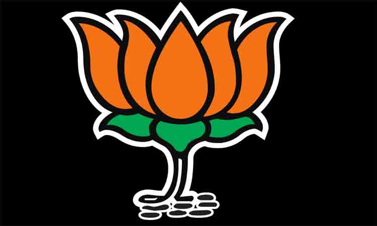 వేధింపు దర్యాప్తులు