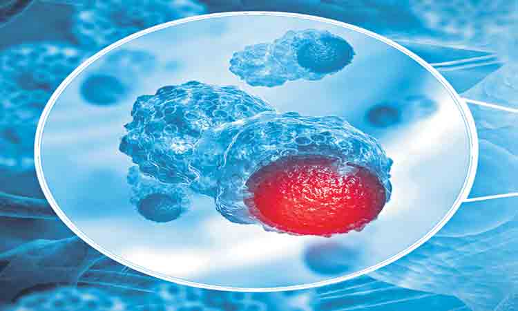 క్యాన్సర్‌ గుట్టు రట్టు!