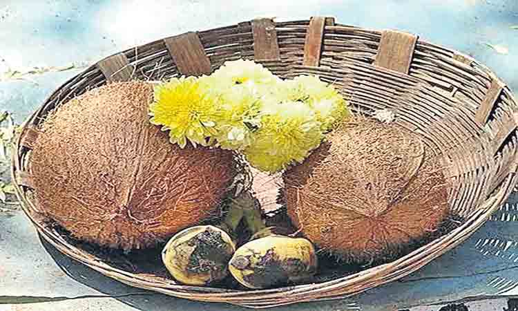 దేవతల తృప్తి కోసం..