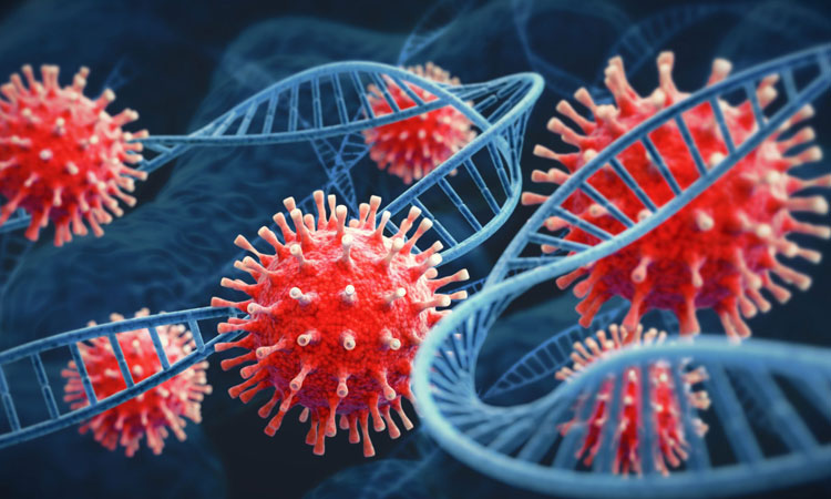 పొంచి ఉన్న ఎక్స్‌ఈ ముప్పు?