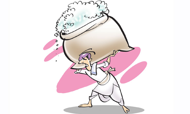 అర్థ వివరణ