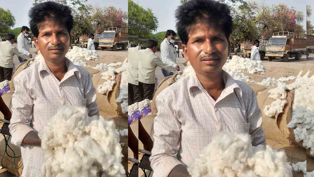 ఎనుమాములలో రికార్డు స్థాయికి పత్తి ధర.. క్వింటాల్ రూ.12,130