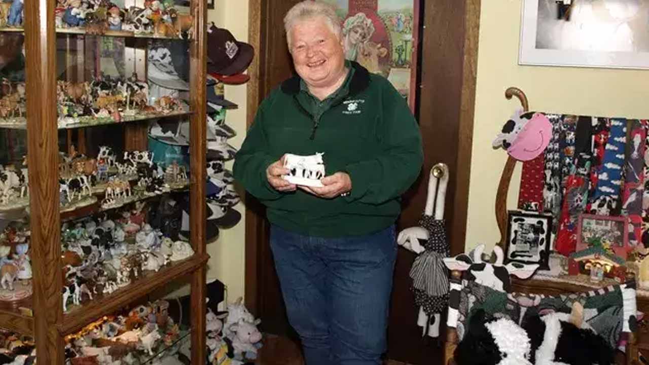 అది ఇల్లు కాదు.. ఆవుల మ్యూజియం!!