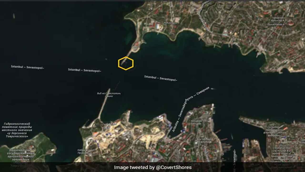 ర‌ష్యా నౌక‌ల‌కు.. డాల్ఫిన్ల గ‌స్తీ