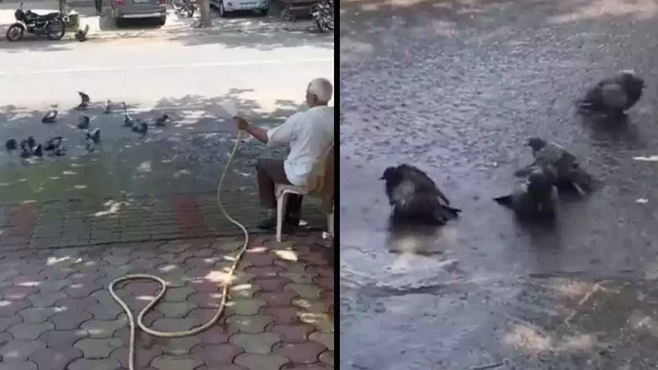 వృద్ధుడి మాన‌వ‌తాహృద‌యానికి నెటిజ‌న్లు స‌లాం.. ఏం చేశాడంటే?