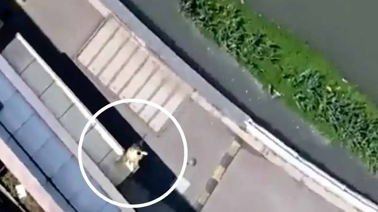 డ్రోన్‌తో చేప‌ల దొంగ‌త‌నం..షాంఘైవాసుల‌కు లాక్‌డౌన్ తిప్ప‌లు!!