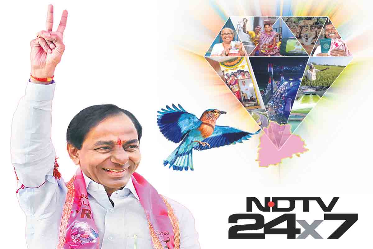 అతడు సాధించాడు.. పాలపిట్టలా మెరిసిన తెలంగాణ..