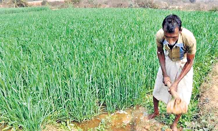 31 పైసలు బాకీ.. ఎన్వోసీ ఇవ్వని బ్యాంక్‌