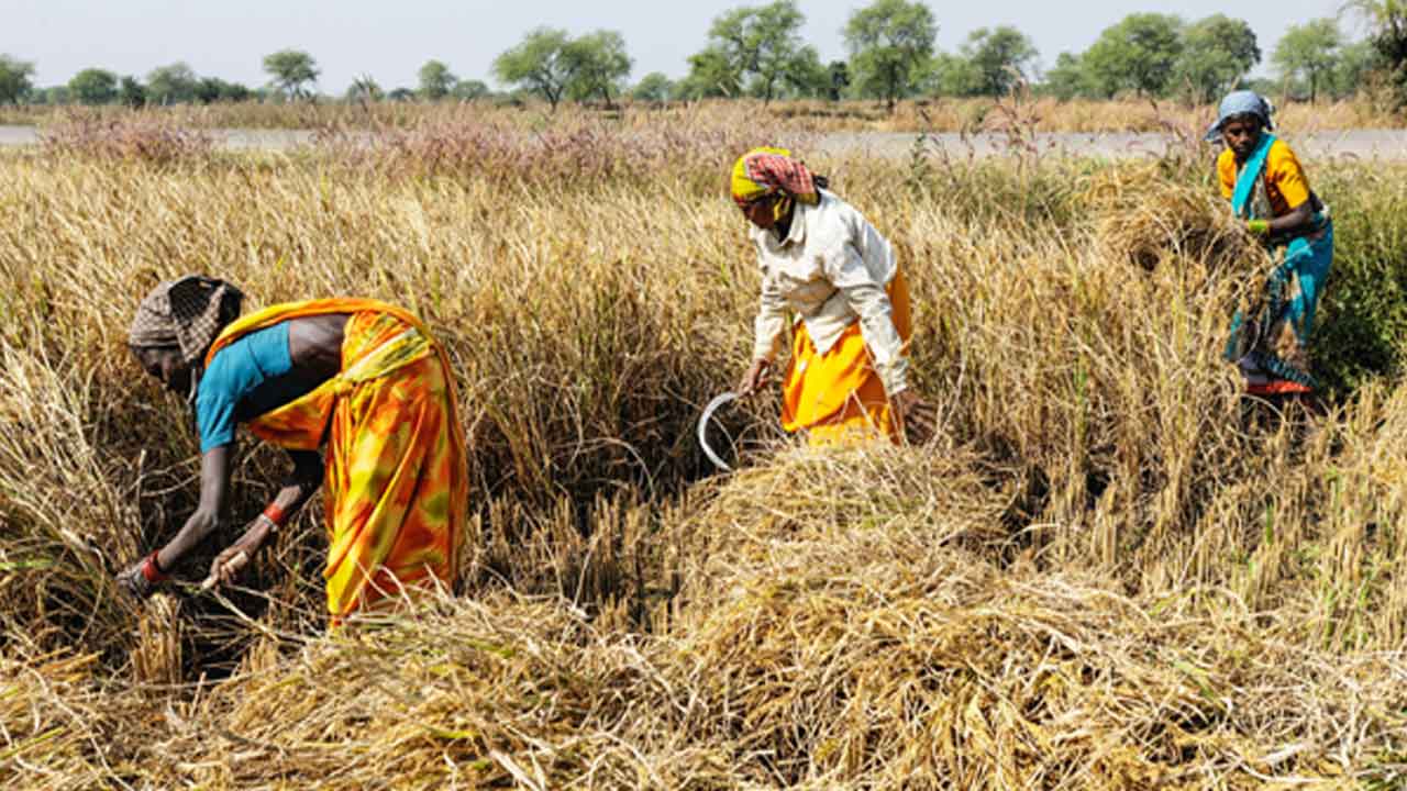కృషీవలుడి సమస్యలు – పరిష్కారాలు