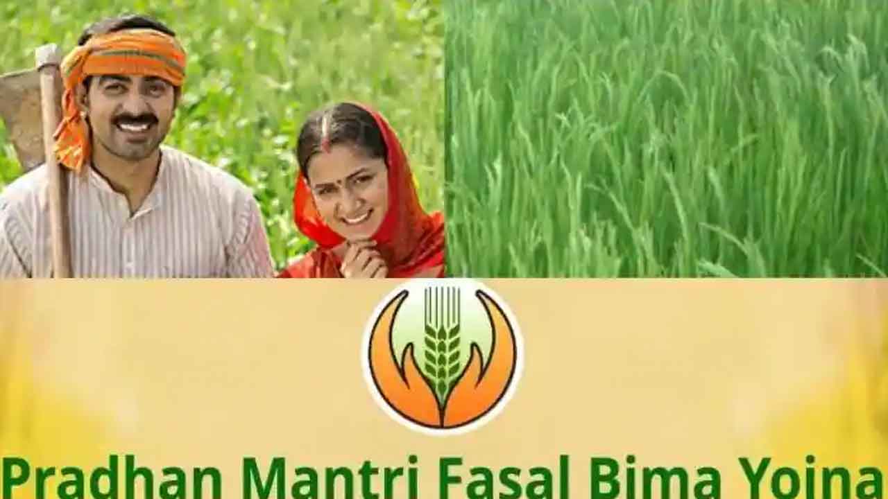 ప్రధానమంత్రి ఫసల్ బీమా యోజన