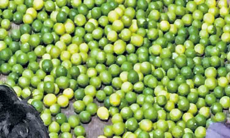 లెమన్‌.. మీసం మెలేసెన్‌!