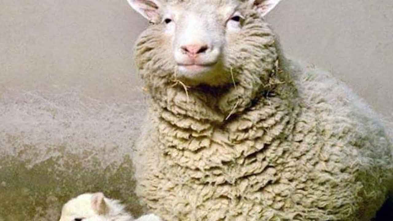 గరిమా అనే గొర్రె పిల్లను క్లోనింగ్ ద్వారా సృష్టించిన కేంద్రం ?