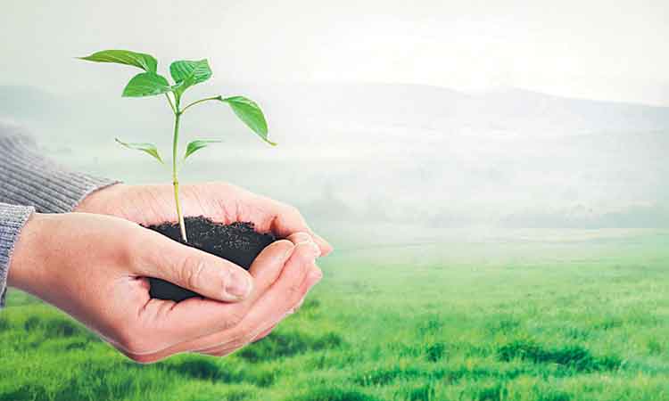 పుడమి తల్లికి పచ్చని హారం