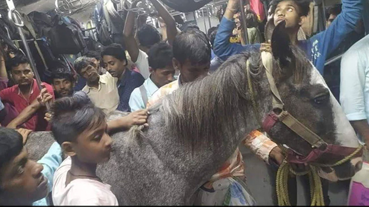 గుర్రాన్ని రైలెక్కించిన య‌జ‌మాని… సోష‌ల్ మీడియాలో వైర‌ల్