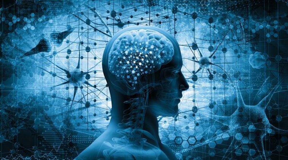 To have a high level of memory | జ్ఞాపకశక్తి ఉన్నతస్థాయిలో ఉండాలంటే ?