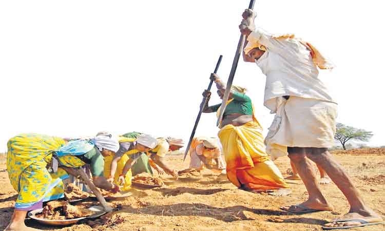 ‘ఉపాధి’ పనిదినాల్లో భారీ కోత