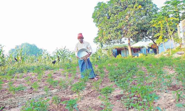 పాడిపంటల మల్లన్నపల్లి