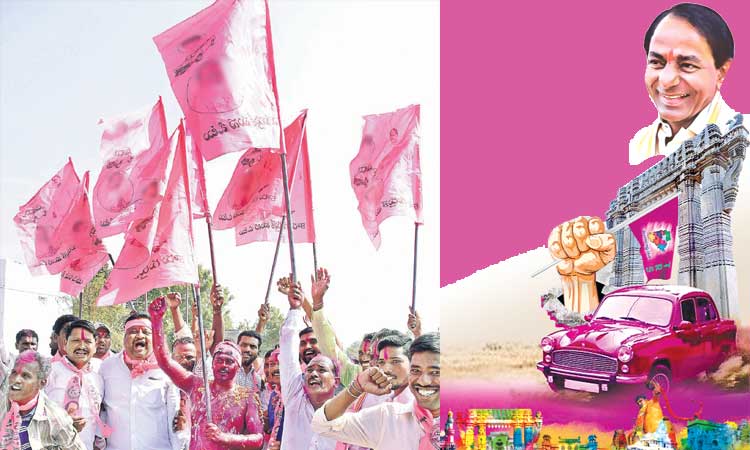ఎన్నికలేవైనా.. గెలుపు టీఆర్‌ఎస్‌దే