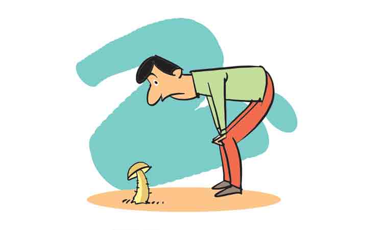 అర్థ వివరణ