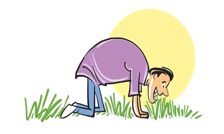 మేసేటప్పుడు ఎడ్లల్ల.. దున్నేటప్పుడు దూడల్ల!