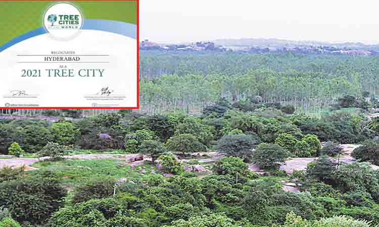 ట్రీ సిటీ ఆఫ్‌ ది వరల్డ్‌