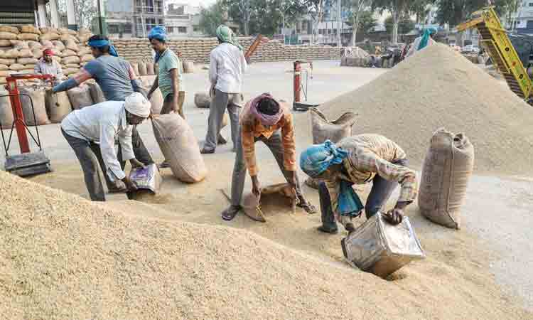 ధాన్యం కొనుగోళ్లు షురూ