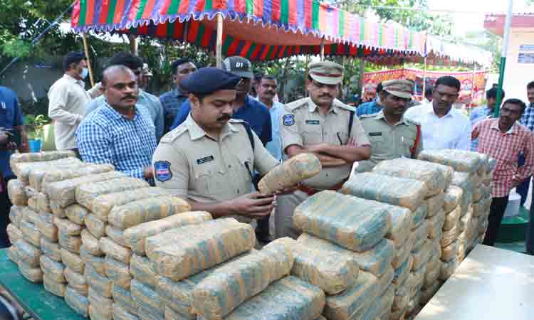 అంతర్రాష్ట్ర గంజాయి ముఠా అరెస్టు