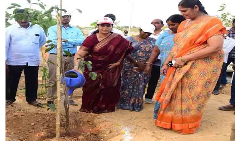 హరితహారానికి..ప్రణాళికలు సిద్ధం చేయండి
