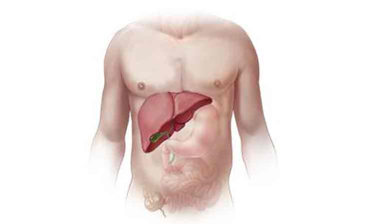 లివర్‌ క్యాన్సర్‌కు సరైన చికిత్స