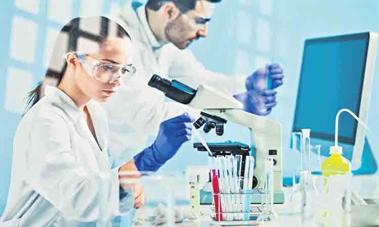 ఏడాదంతా ఫ్రీ