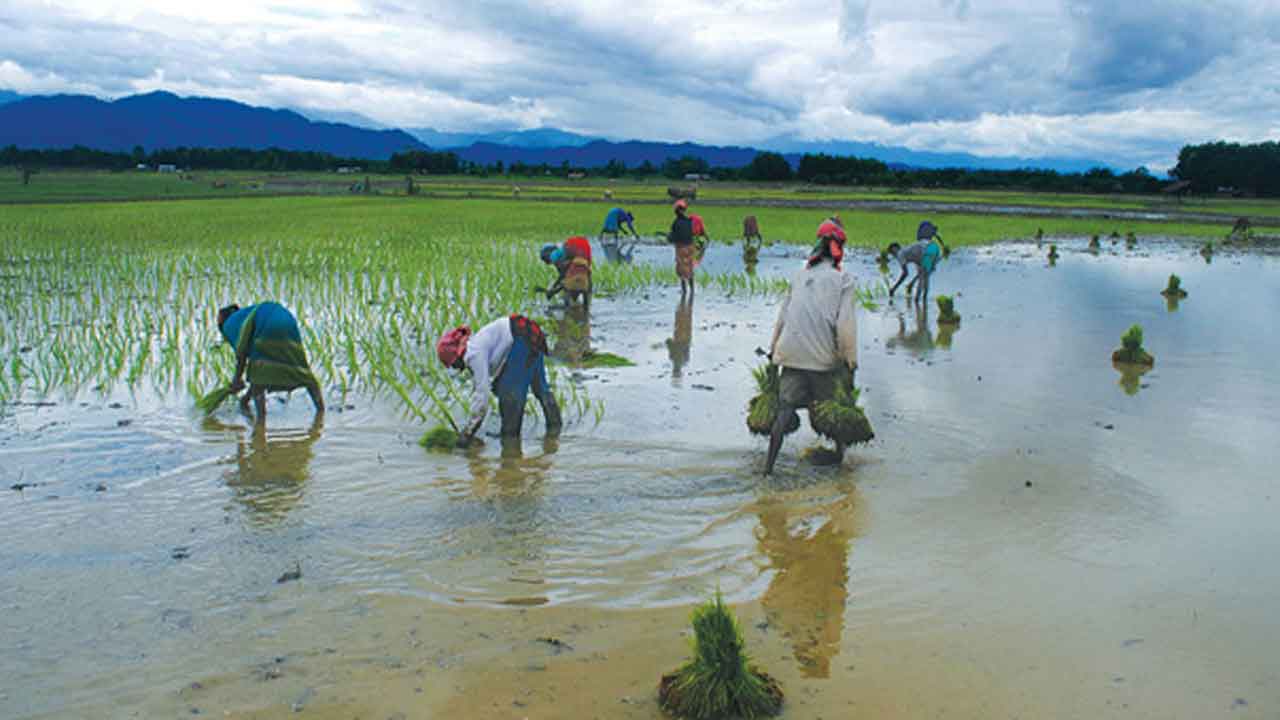 రుతుపవనాలు ఎలా ఏర్పడతాయి?
