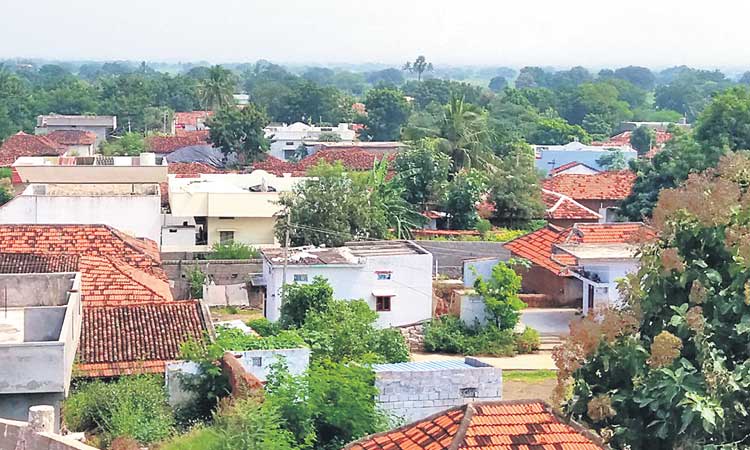 ఊరునిండా ఉద్యోగులే..