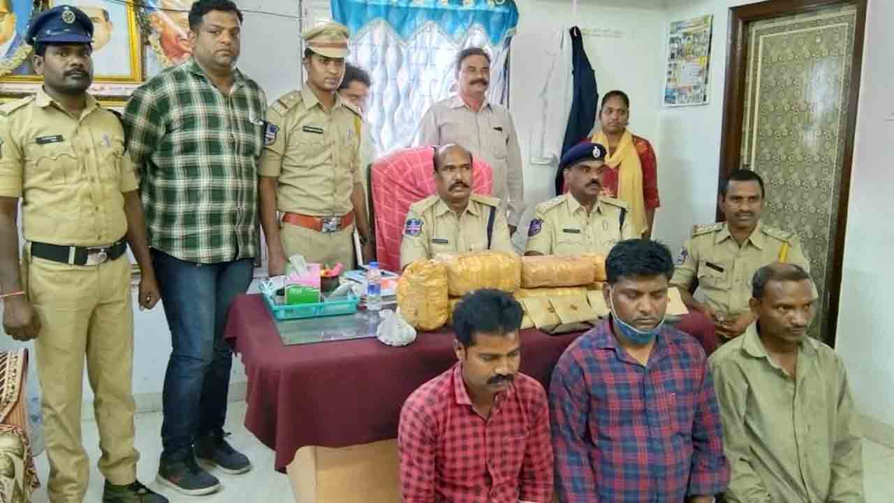 ముగ్గురు గంజాయి విక్రయదారుల అరెస్టు..14.5 కేజీల గంజాయి పట్టివేత