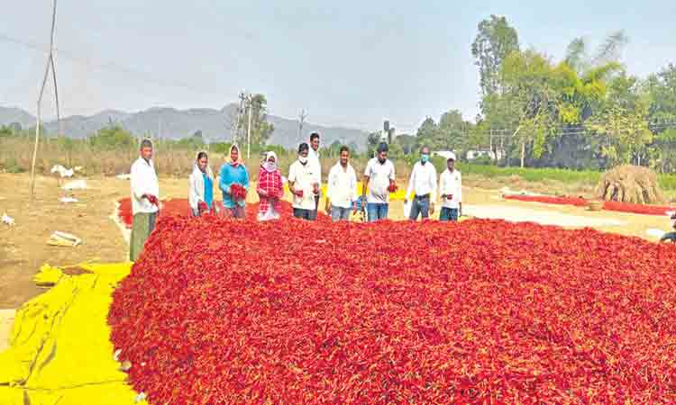 2 నెలలు.. 96 లక్షల ఆదాయం