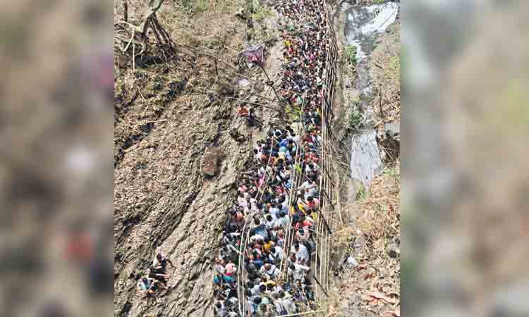 పులకించిన నల్లమల