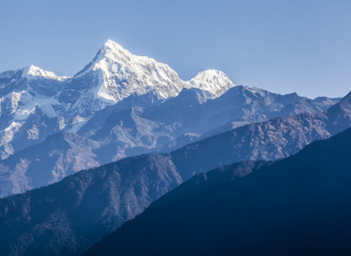 Nature diversity  | ప్రకృతి వైవిధ్య పట్టుగొమ్మలు