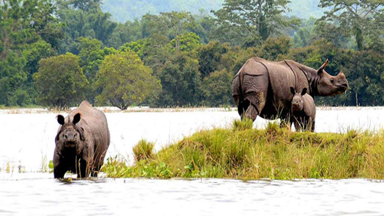 జాతీయ పార్కులు- బయోస్పియర్ రిజర్వులు