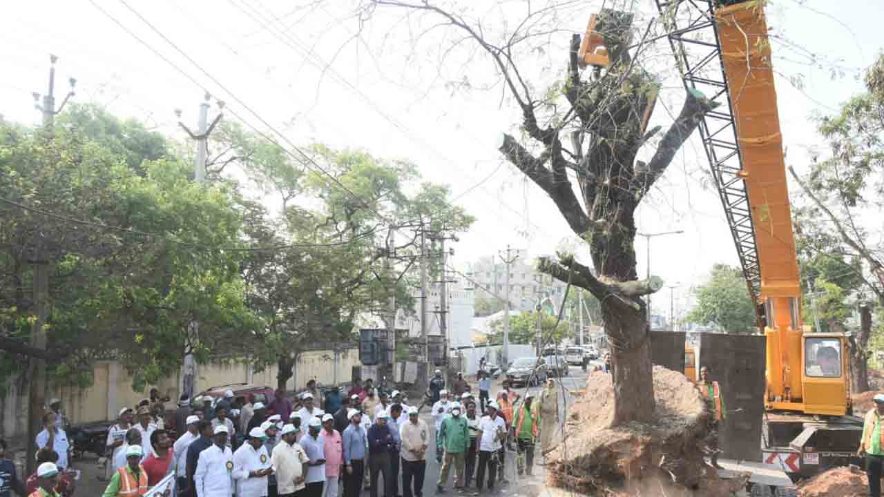 Green India Challenge | నల్లగొండలో ‘ట్రీస్ ట్రాన్స్ లొకేషన్’ పనులు షురూ..