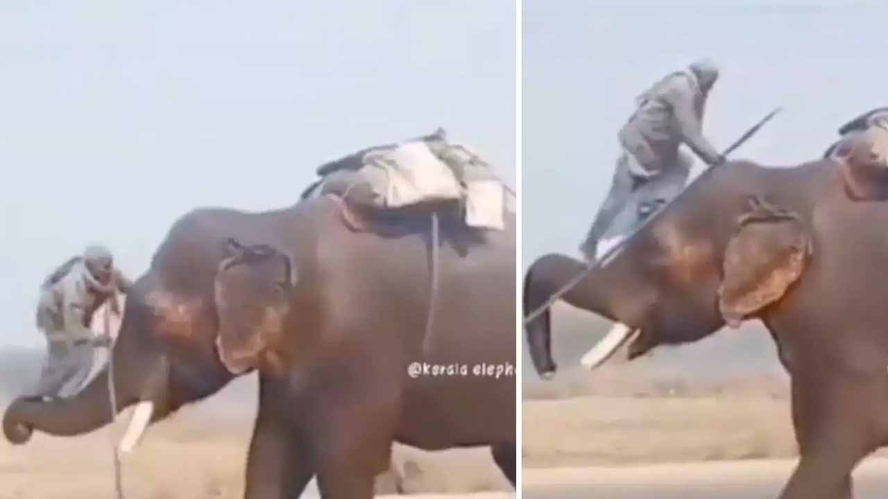 Viral video:  వావ్‌.. అచ్చం బాహుబ‌లిలో ప్ర‌భాస్‌లా ఏనుగెక్కాడు..!!