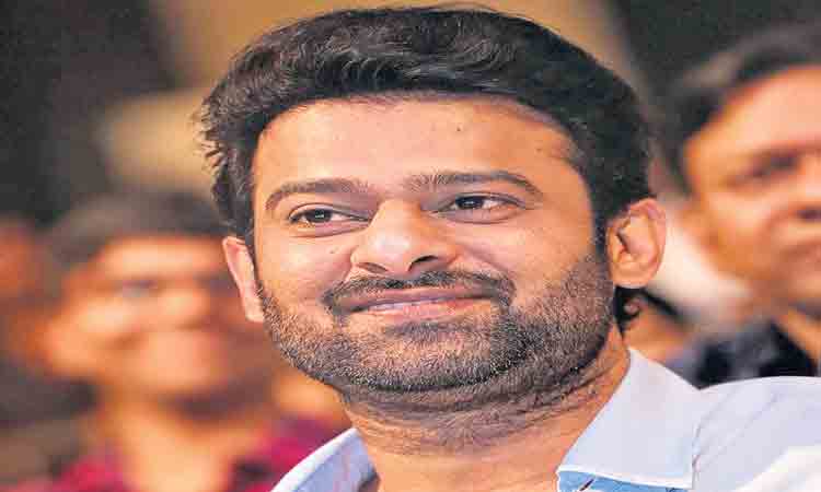 ప్రేమకథల్లో ఇష్టపడరేమో..