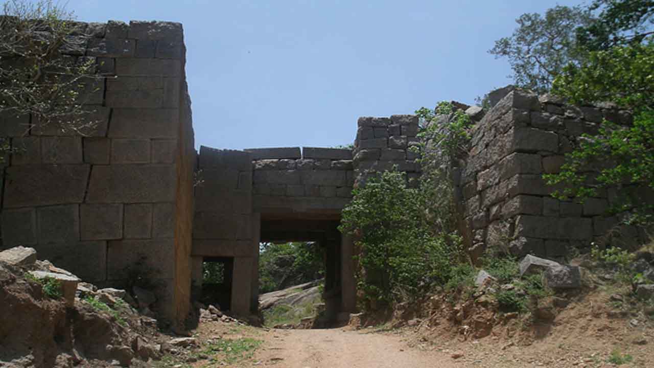 రాచకొండ వెలమలు ఎలాంటి వారు?