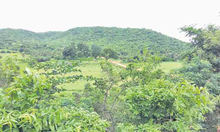 రెండేండ్లు మూడు కోట్లు