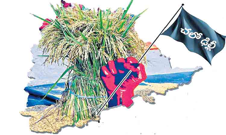 ఢిల్లీకి చేరిన వడ్ల పోరు